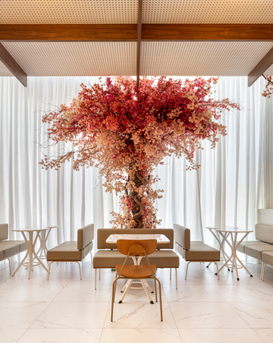 Ambientes Gastronômicos