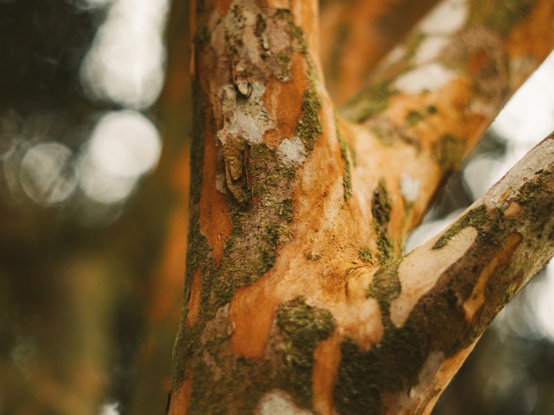 Sustentabilidade além do discurso: como avaliamos materiais, fornecedores e ciclo de vida na coleção Ecos
