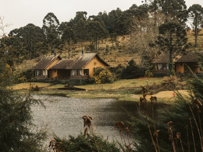 Texturas, paisagens e matéria: onde começa a inspiração do design brasileiro