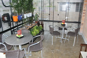 Hábitos de Aliemntação