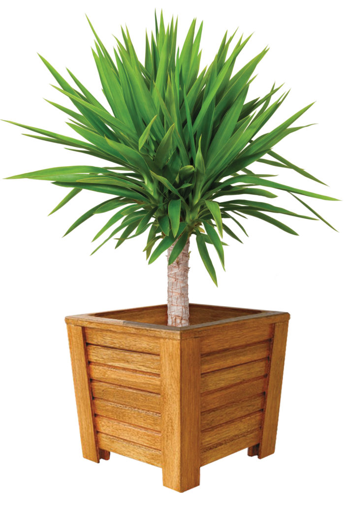 Móveis de madeira: tendência de decoração em 2019