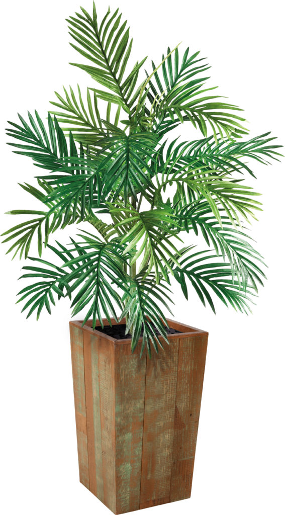 Móveis de madeira: tendência de decoração em 2019